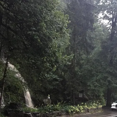 호텔 Koenigreich Romkerhall