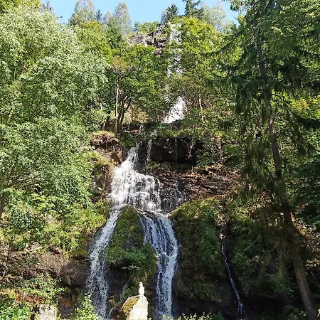 Koenigreich Romkerhall Hotel Schulenberg im Oberharz