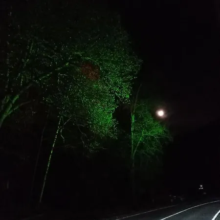 Koenigreich Romkerhall 호텔